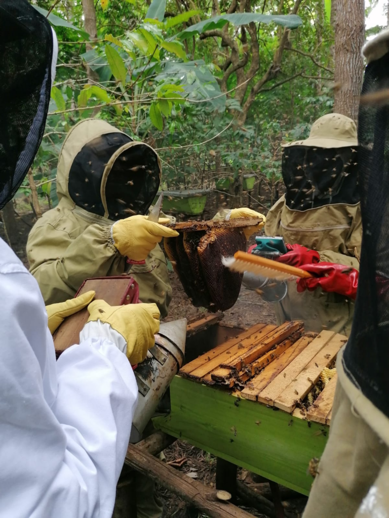Beekeeping Entrepreneurs Reap big Rewards from METGE Training