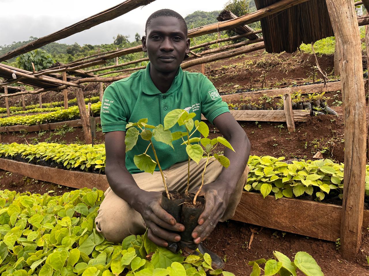 A Journey from destruction to restoration: The Story of Wosukira Milton.