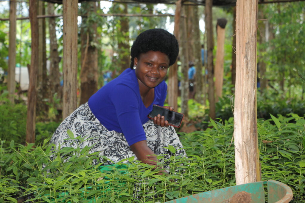 Mount Elgon Tree Growing Enterprise Contributing to Land restoration for Climate Resilience in the Mount Elgon Region