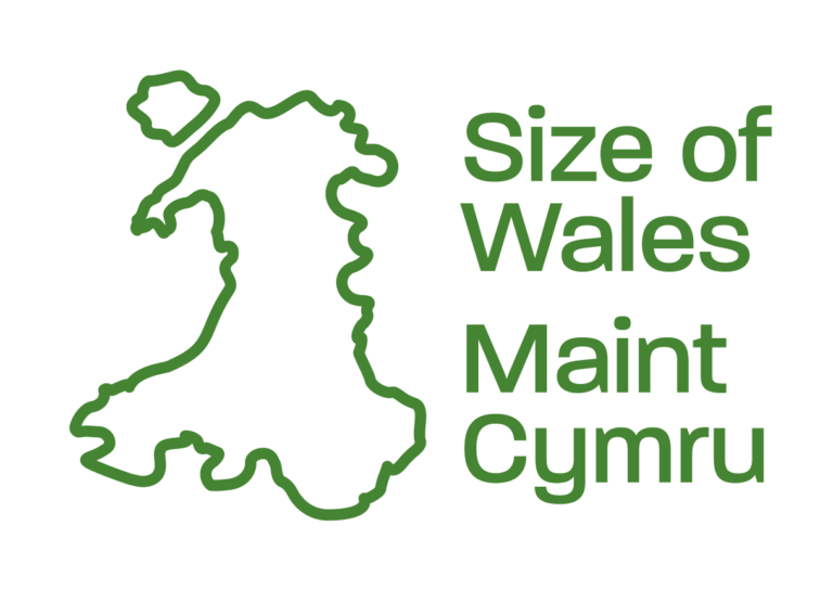 SizeOfWales-Logo-Primary-768x544