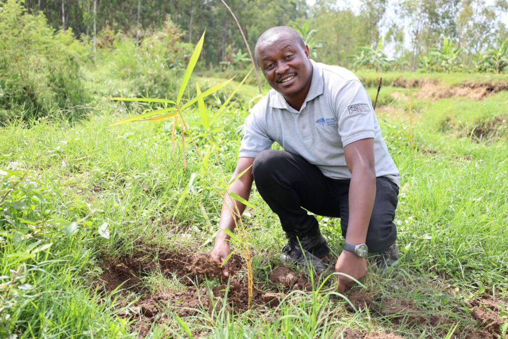 Restoring River Namatala: How Bamboo Is Strengthening Ecosystems and Safeguarding Lives in Mbale City